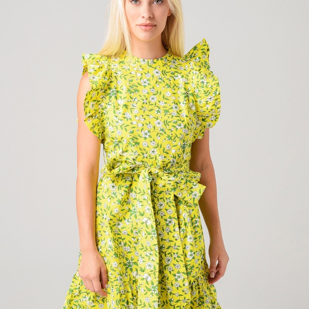 NWT Banjanan Floral Audrey Mini Dress